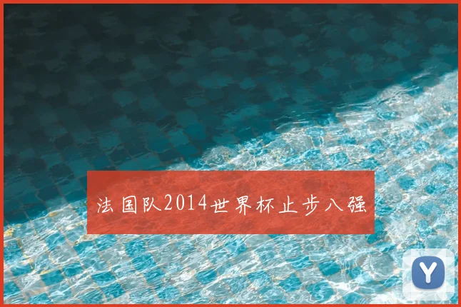 法国队2014世界杯止步八强