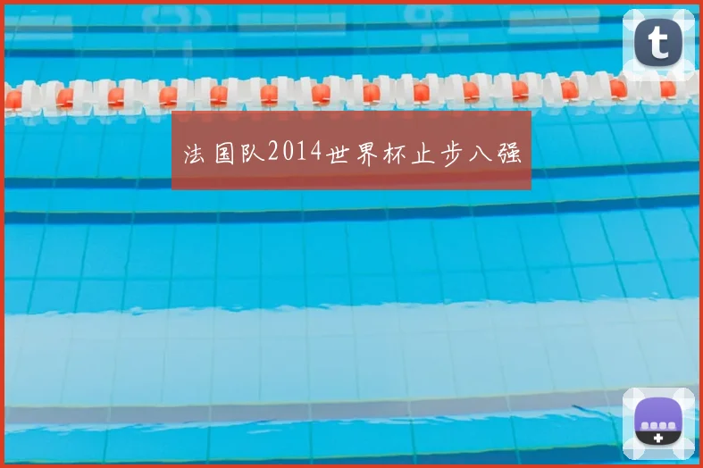 法国队2014世界杯止步八强