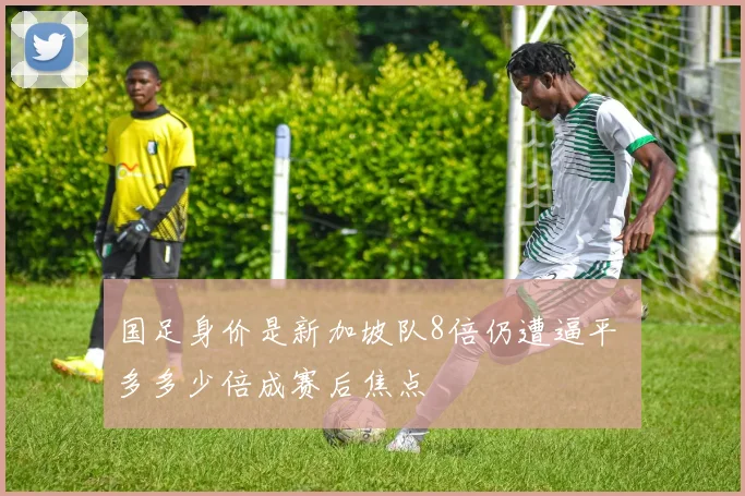 国足身价是新加坡队8倍仍遭逼平 多多少倍成赛后焦点