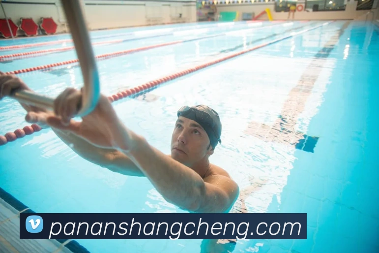 华体网手机版登录入口平台生态图