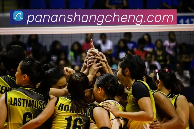 华体网手机版登录入口APP 封面图